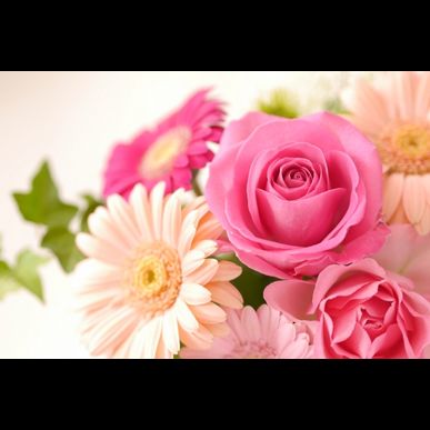 東京・埼玉のマンション購入をお考えならアベリアへ