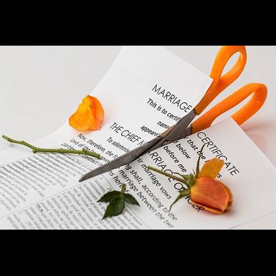 離婚の個別無料相談会、開催しています